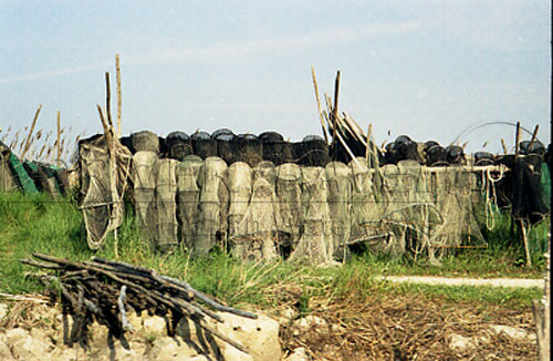 Navigazione nel Delta del Po Ferrarese